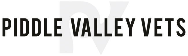 Piddle Valley Vets logo